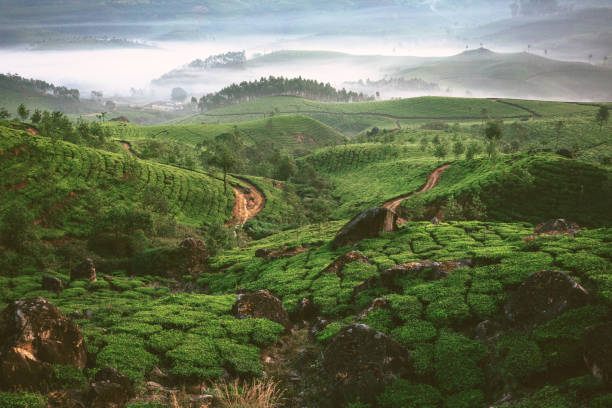 Sri Lanka Nature